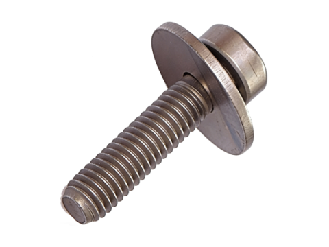Hexalobular (Torx) Socket Pan Head Screw and Plain Washer Assemblies