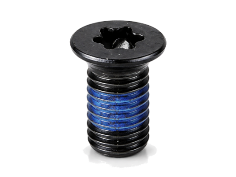 Torx Socket Screw with Nylon Patch