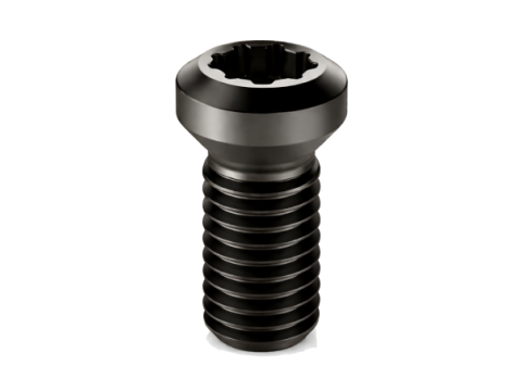 TORX PLUS Drive Cylinder Head Screws