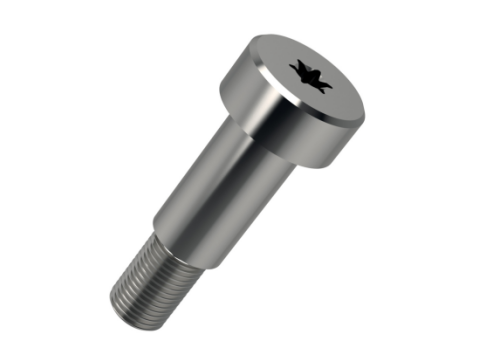 Hexagon Socket Head Shoulder Screws