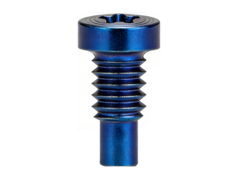 Torx Cylinder Head PVD CD Texture Screws