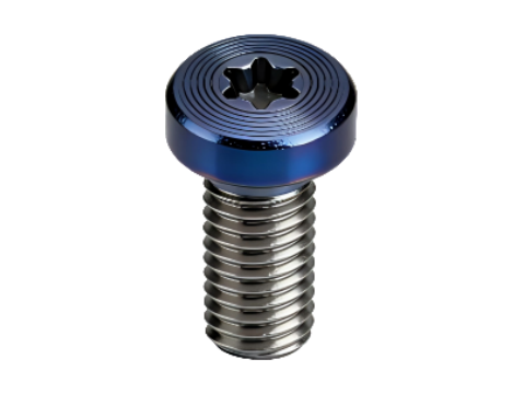 Premium Torx Pan Head Screws with CD Pattern & 